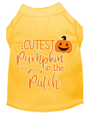 Halloween Pet Dog & Cat Shirt Screen Printed, "Cutest Pumpkin In The Patch" — view 2
