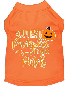 Halloween Pet Dog & Cat Shirt Screen Printed, "Cutest Pumpkin In The Patch" — view 3