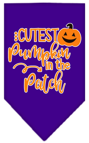 Halloween Pet and Dog Bandana Screen Printed, "Cutest Pumpkin In The Patch" — view 6