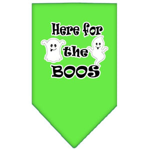 Halloween Pet and Dog Bandana Screen Printed, "Here For The Boos" — view 1