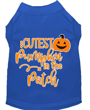 Halloween Pet Dog & Cat Shirt Screen Printed, "Cutest Pumpkin In The Patch" — view 5