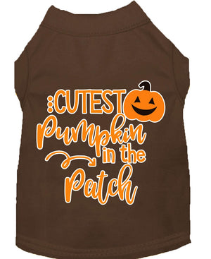 Halloween Pet Dog & Cat Shirt Screen Printed, "Cutest Pumpkin In The Patch" — view 7