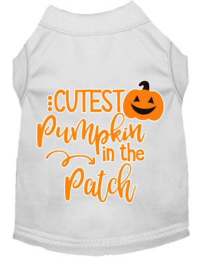 Halloween Pet Dog & Cat Shirt Screen Printed, "Cutest Pumpkin In The Patch" — view 8