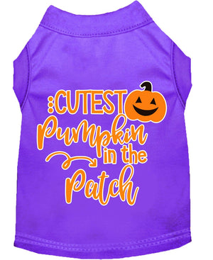 Halloween Pet Dog & Cat Shirt Screen Printed, "Cutest Pumpkin In The Patch" — view 4
