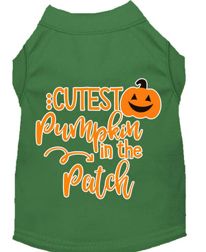 Halloween Pet Dog & Cat Shirt Screen Printed, "Cutest Pumpkin In The Patch" — view 6