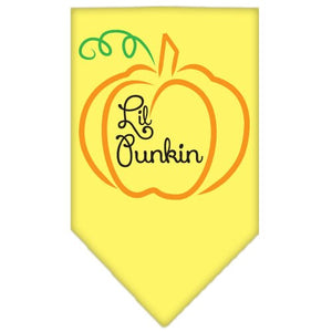 Halloween Pet and Dog Bandana Screen Printed, "Lil Punkin" — view 5