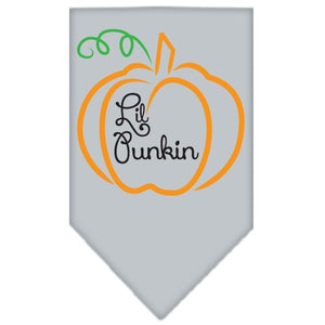 Halloween Pet and Dog Bandana Screen Printed, "Lil Punkin" — view 6