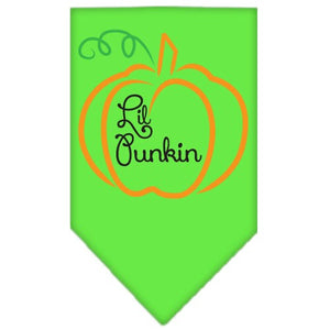 Halloween Pet and Dog Bandana Screen Printed, "Lil Punkin" — view 7
