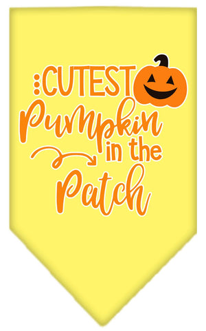 Halloween Pet and Dog Bandana Screen Printed, "Cutest Pumpkin In The Patch" — view 9