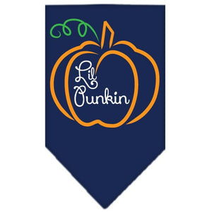Halloween Pet and Dog Bandana Screen Printed, "Lil Punkin" — view 4