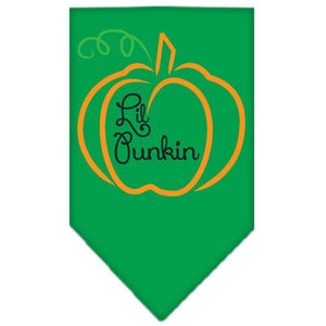 Halloween Pet and Dog Bandana Screen Printed, "Lil Punkin" — view 8