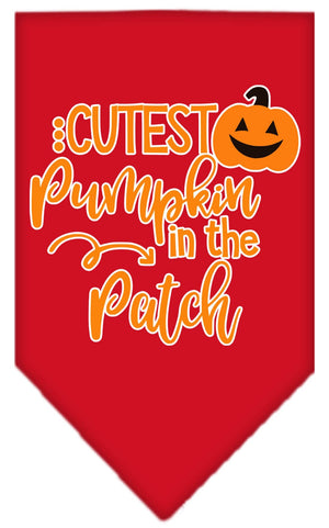 Halloween Pet and Dog Bandana Screen Printed, "Cutest Pumpkin In The Patch" — view 7