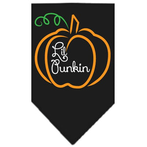 Halloween Pet and Dog Bandana Screen Printed, "Lil Punkin" — view 1