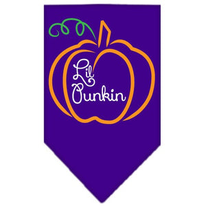 Halloween Pet and Dog Bandana Screen Printed, "Lil Punkin" — view 3