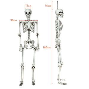 5.4 Feet Halloween Skeleton Life Size Realistic Full Body Hanging — view 4