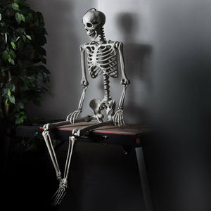 5.4 Feet Halloween Skeleton Life Size Realistic Full Body Hanging — view 1