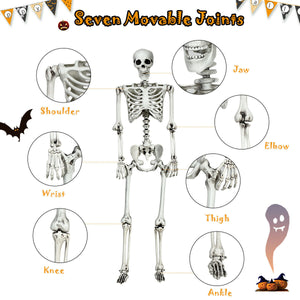 5.4 Feet Halloween Skeleton Life Size Realistic Full Body Hanging — view 5